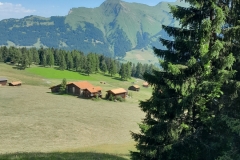 20220703_102600